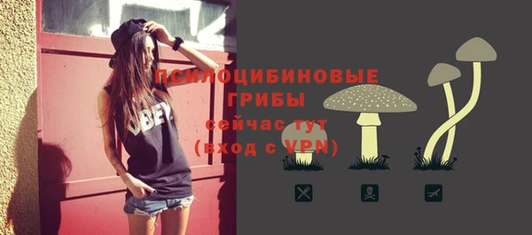 круглые Аркадак