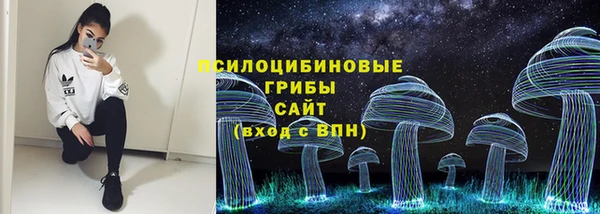 винт Армянск