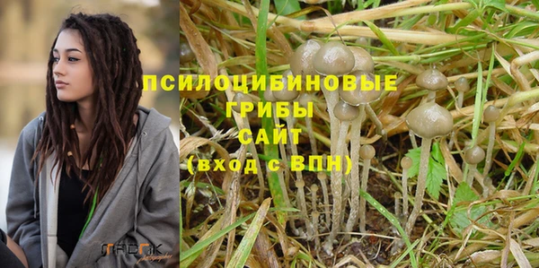 первитин Арсеньев
