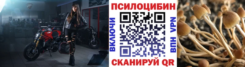 Псилоцибиновые грибы Cubensis  Руза 
